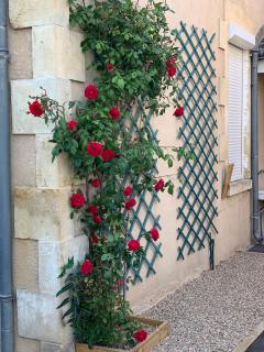 Studio Gallieni - La Châtre - 8