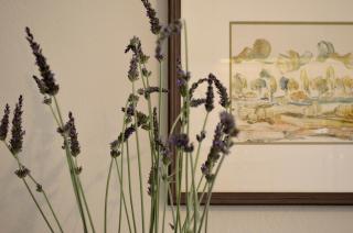 Casa MaLu Boutique Apartments - No 2 - Gouvia - 2