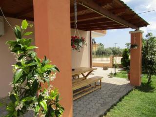 Olive Grove House - 8
