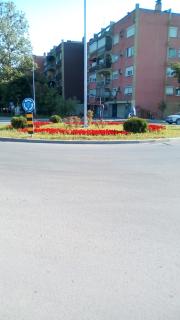 Apartmani Spasic - Leskovac - 8