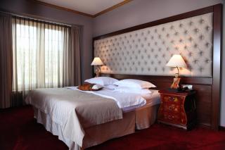 Simfonia Boutique Hotel - Râmnicu Vâlcea - 2