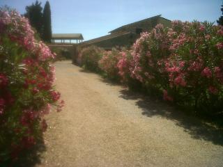 Agriturismo Podere Micitto - 2