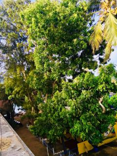 Shashini Beach Resort - Arugam Bay - 9