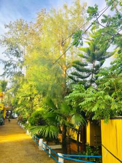 Shashini Beach Resort - Baía de Arugam - 1