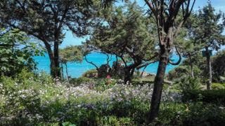 B&b Giglio di Mare - Cala Liberotto - 4