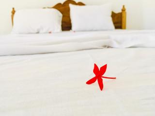Shashini Beach Resort - Arugam Bay - 2