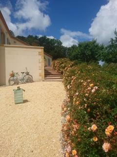 Chambre d'Hôtes Les Bruyères - 7