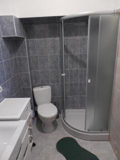 Apartment Orgelsaal - Chernivtsi - 1