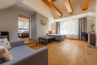 Wellness & Spa hotel Villa Regenhart - Jeseník - 8