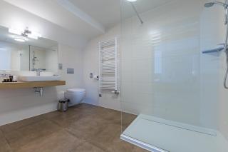 Wellness & Spa hotel Villa Regenhart - Jeseník - 6