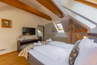 Wellness & Spa hotel Villa Regenhart - Jeseník - 4