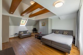 Wellness & Spa hotel Villa Regenhart - Jeseník - 9