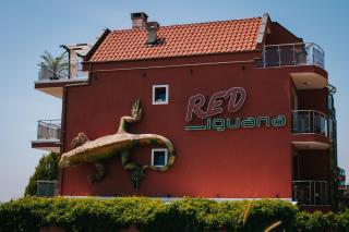 Red Iguana Hotel - Sveti Vlas - 9