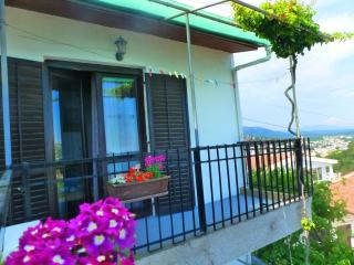 Apartment Djakonovic Mladen - Ulcinj - 1