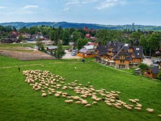 Nosal Apartment - Zakopane - 7