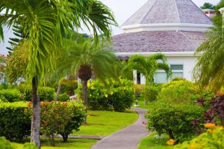 Coyaba Beach Resort - Saint Georgeʼs - 9