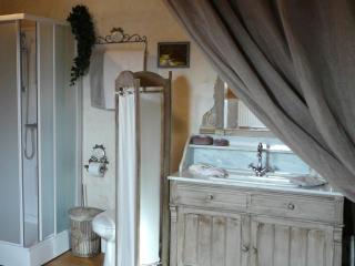 B&B Aux Gaietés de la Sabotière - Seloignes - 8