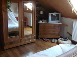 B&B Aux Gaietés de la Sabotière - Seloignes - 6
