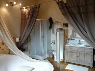 B&B Aux Gaietés de la Sabotière - Seloignes - 4