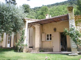 Sunny holiday home in Provence with pool - Séguret - 3