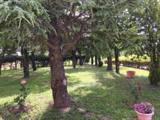 B&B da Eli - San Pietro - 8