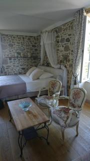 Le Manoir "Aux Douves" - Bazoges-en-Paillers - 6