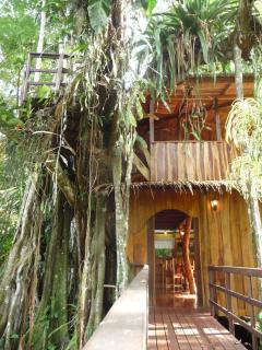Topos Tree House - Cahuita - 3
