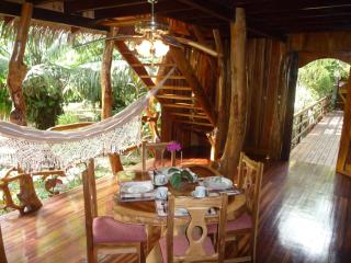 Topos Tree House - 1