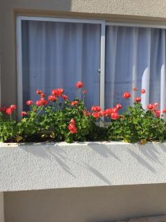 Apto em ótima localização! - 4