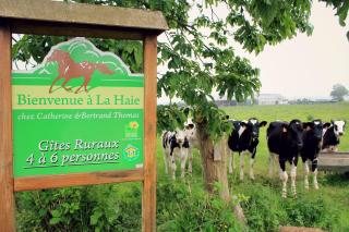 Gites de la Haie - 4