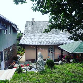 Apartman Darija - Vrdnik - 3