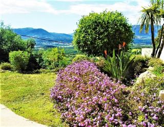 Casa di l'Alivetu - Bastelicaccia - 0