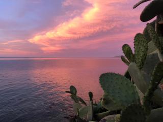Porto Kalyves Seaside Aparthotel - 5