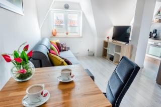 Tulip-Apartments - Jagiellońska 24 poddasze bez windy - Stettin - 8