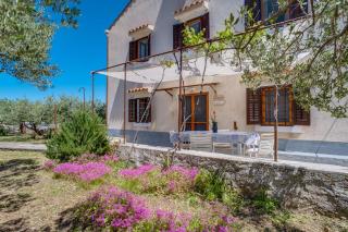 CASA OLIVA - Sveti Jakov - 1