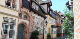 Meeresleuchten - Luneburgo - 8