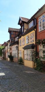 Meeresleuchten - Luneburgo - 6