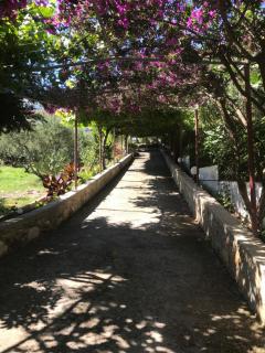 Knossos - Panormos Rethymno - 7