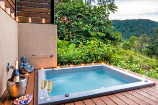 Seclude Rainforest Retreat - Palm Grove - 2