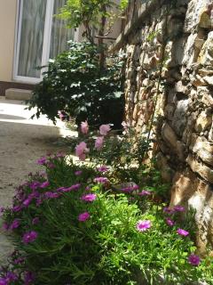 Istrianka Apartment - Pula - 7