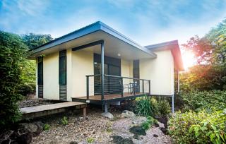 Seclude Rainforest Retreat - Palm Grove - 5