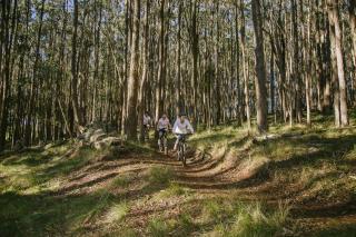 Spicers Peak Lodge - Maryvale - 5