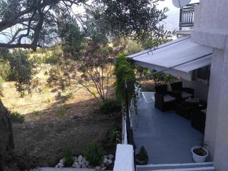 House with fruit trees, olive trees, and sea view. - Vathý - 5