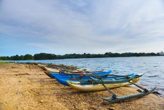 Muwan Palassa Resort - Minneriya - 6