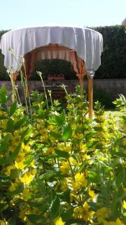 yourte d'hotes - Mailley-et-Chazelot - 2