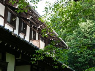 Hazu Gassyo - Shinshiro - 9
