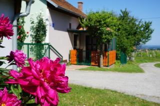 Holiday Home Mađerka - Štrigova - 4