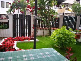 St. Varvara Apartments - Ohrid - 4
