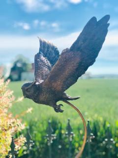 B&B Landleven - Hellevoetsluis - 1