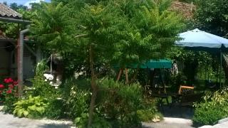 Pensiunea Casa Vulkan - 2